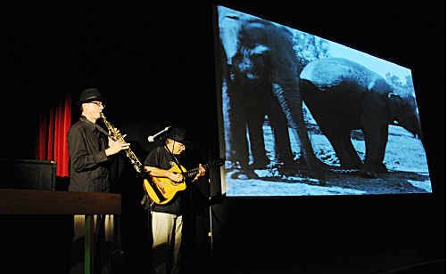 The Heart of Gold Film festival is bringing its funniest films back to the big screen at the Gympie Civic Centre. The Heart of Gold Film festival is bringing its funniest films back to the big screen at the Gympie Civic Centre.
